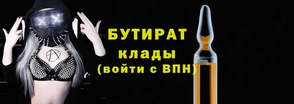 индика Весьегонск