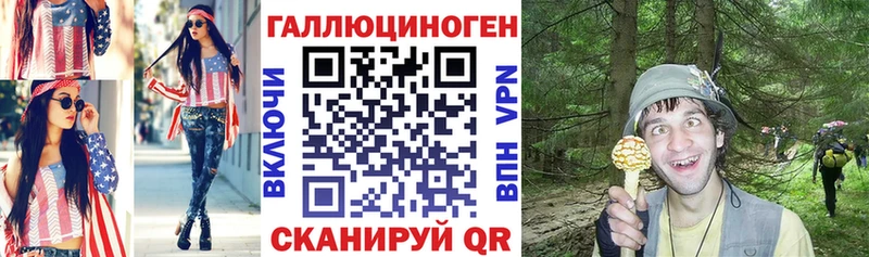 как найти Прохладный Галлюциногенные грибы Psilocybine cubensis