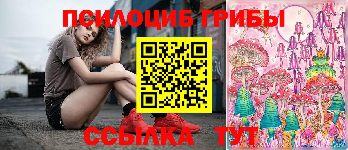 Галлюциногенные грибы мицелий Прохладный
