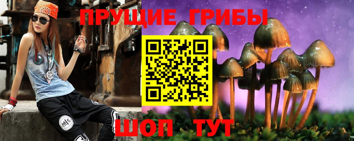Галлюциногенные грибы мицелий  Псилоцибиновые грибы мицелий  Вход с VPN  Прохладный 