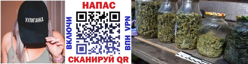 наркота Прохладный Шишки марихуана Ganja
